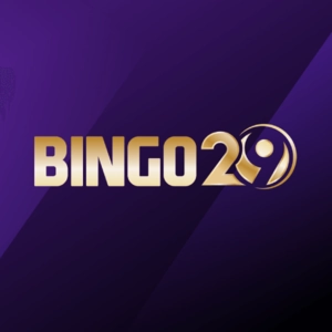 BINGO29 logo