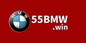 55BMW logo